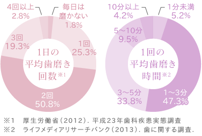 1日の平均歯磨き回数・時間